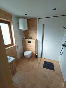a bathroom with a toilet and a glass shower at Bieszczadzki Bohater Domki 533-502-137 in Polańczyk +71 photos