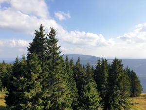 Příroda nedaleko apartmánu