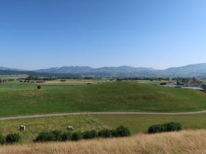 a large green field with animals grazing in it at Apartment Luxenweid by Interhome in Reichenburg
