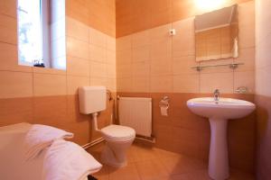a bathroom with a toilet and a sink at Filo Hotel in Gheorgheni +31 photos