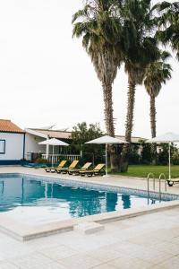 a swimming pool with chairs and palm trees at Humus Farm in Águas de Moura