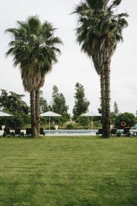two palm trees and a pool in a park at Humus Farm in Águas de Moura