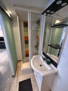 La salle de bains est pourvue d'un lavabo blanc et d'un miroir. dans l'établissement Studio les Iris climatisé, entre mer et collines, classé meublé de tourisme 2 étoiles, à Allauch