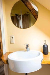 a bathroom with a white sink and a mirror at Schwalbenwohnung 