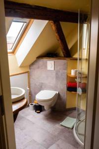 a attic bathroom with a toilet and a sink at Schwalbenwohnung 