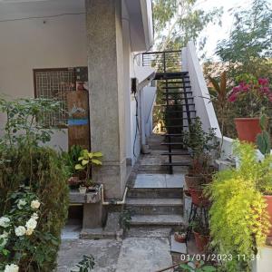 un conjunto de escaleras con macetas. en Henry's Home, en Udaipur