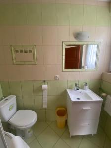 a bathroom with a toilet and a sink and a mirror at Przed Korzeniowym in Kazimierz Dolny