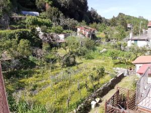 Blick auf einen Hügel mit Häusern und Bäumen in der Unterkunft La Casa Torre in Pignone