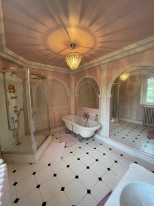 Château du Boulay Morin的一间浴室