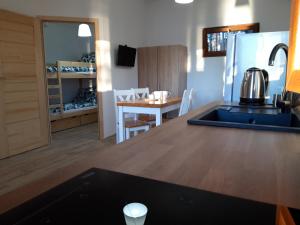 a kitchen and dining room with a counter and a table at Domek letniskowy nad jeziorem Wdzydze in Borsk +4 photos