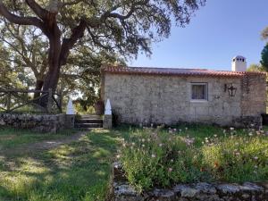 an old stone house with a tree and flowers at Casa da Vinha in Castelo Novo