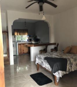a living room with a bed and a kitchen at Seacret Studios - Cozy Jamaican Retreat apts in Negril