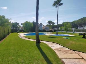 a palm tree in a park with a swimming pool at Casa Pio Pio in Novo Sancti Petri