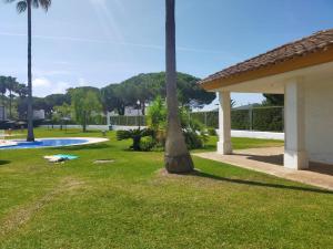 a yard with a palm tree and a swimming pool at Casa Pio Pio in Novo Sancti Petri