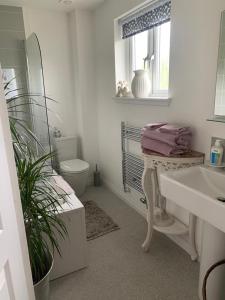 a bathroom with a sink and a toilet and a mirror at Home from home - Free Parking (near Edinburgh / Airport and Ingilston) in Edinburgh