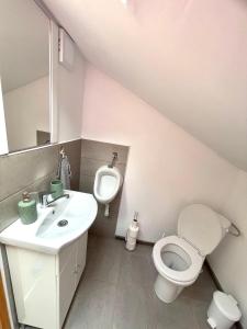 La salle de bains est pourvue de toilettes, d'un lavabo et d'un urinoir. dans l'établissement Gyimesi kulcsosház / Casa de vacanta Ghimes, à Lunca de Sus