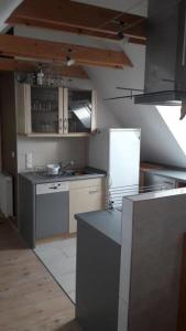 a kitchen with a sink and a refrigerator at Ferienwohnung Bänsch in Weischlitz