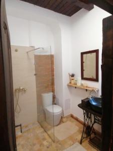 a bathroom with a shower and a toilet and a sink at Casa Huber in Cîrţa