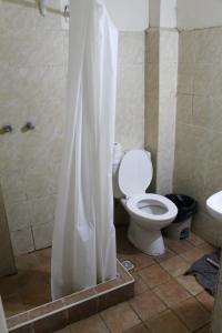 a bathroom with a toilet and a shower with a shower curtain at Hostel Int Mendoza in Mendoza