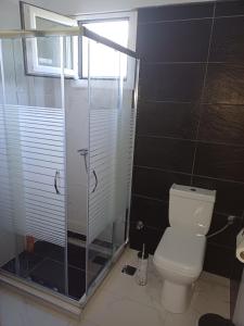 a bathroom with a toilet and a glass shower at G.Tzanis Luxury Apartments in Parga