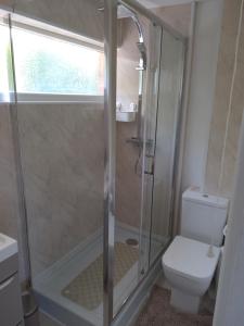 a bathroom with a shower and a toilet at Hill's View in Barnstaple