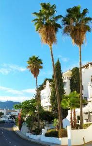 una calle con palmeras frente a un edificio en Pueblo Evita Hill en Benalmádena