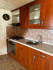 kuchnia z drewnianymi szafkami i zlewem w obiekcie House Riva w mieście Pirovac