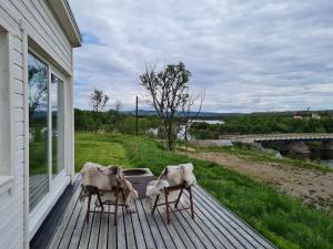 a group of animals sitting on a porch at Badstue ved elven i Varangerbotn in Varangerbotn