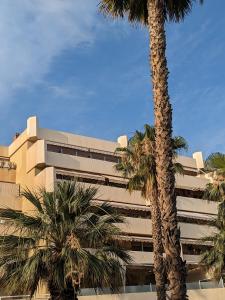 a tall building with palm trees in front of it at Ático Molière Beach in Málaga