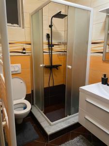 a bathroom with a shower with a toilet and a sink at Apartman OZANA in Blace +55 photos