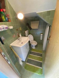 ein kleines Bad mit einem Waschbecken und einem WC in der Unterkunft PURE NATURE in Visoko