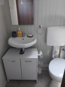 Koupelna v ubytování Mobile Home Luna + 17 fotografií