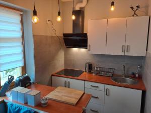 cocina con fregadero y encimera en APARTAMENT PRZY SZLAKU, Podgórzyn Górny, Żołnierska 73a en Podgórzyn