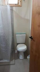 a bathroom with a toilet and a shower curtain at Entre maitenes Bariloche in San Carlos de Bariloche