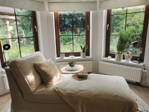 a bedroom with a bed with a table and windows at Gartenwohnung Paulsdorf in Dippoldiswalde