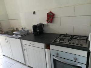 een kleine keuken met een fornuis en een wastafel bij APPARTEMENT 2 CHAMBRES A POINTE A PITRE in Pointe-à-Pitre