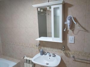 a bathroom with a sink and a mirror at Mirando al Sur in Ushuaia