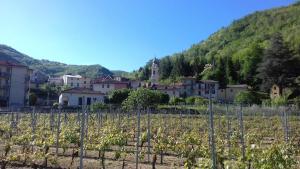un viñedo con un pueblo en el fondo en Agriturismo A Cà du Paipèru, en Pieve di Teco