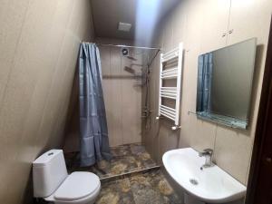 een badkamer met een wastafel, een toilet en een douche bij Diamond's Cottages in Lagodekhi
