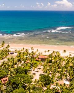 - une vue aérienne sur une plage bordée de palmiers et l'océan dans l'établissement Casa Del Mar, à Marau