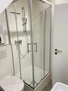 a shower stall in a bathroom with a toilet at HD-Appartment mit Neckar- und Schlossblick in Heidelberg +19 photos