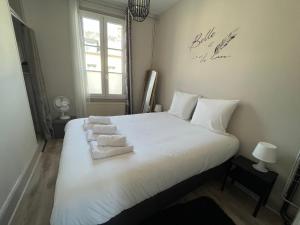 Postel nebo postele na pokoji v ubytování Le Gambetta, Bel appartement lumineux en plein centre-ville à Fourchambault