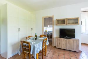 TV a/nebo společenská místnost v ubytování Le Castagne Apartments Ischia