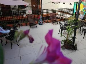 a blurry picture of a patio with tables and chairs at Hotel Amayal in San Cristóbal de Las Casas