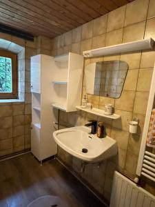 uma casa de banho com um lavatório e um espelho em Blue House em Ramingstein