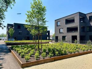 ein Gemüsegarten vor einem Gebäude in der Unterkunft Seeparkvilla – Wohlfühlen am See und im Grünen in Bregenz