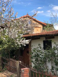 uma casa com uma porta de madeira e uma cerca em Dar Zaghouan em Zaghouan