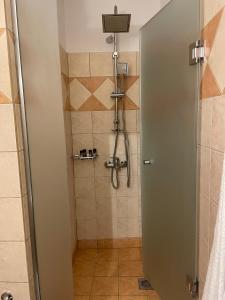 a shower with a glass door in a bathroom at Camellia Guesthouse in Anilio Pelion
