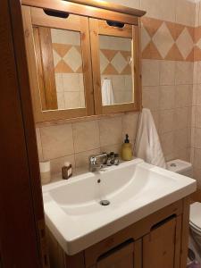 a bathroom with a white sink and a toilet at Camellia Guesthouse in Anilio Pelion