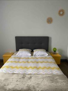 ein Schlafzimmer mit einem großen Bett mit zwei Kissen darauf in der Unterkunft Le Nî’ De Jess in Migennes